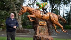 Glory of Minella horse racing double captured forever on hotel grounds in Clonmel