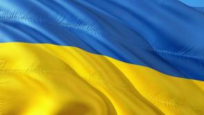 Group of 40 Ukrainian refugees settling in well in mid Tipperary village