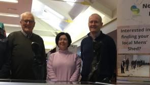 Tipperary men's shed group hosts exhibition in local library with focus on woodturning