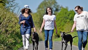 Tipperary greyhound trainers feature in the super new 'Our People, The Generations' project