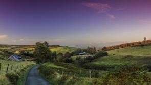Tá siad ar ais arís - Grá don teanga:  Irish classes and more return in south Tipperary 