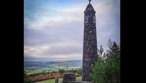 Say No To Coillte Sell Off protest to take place at Tipperary's Liam Lynch Monument this weekend 