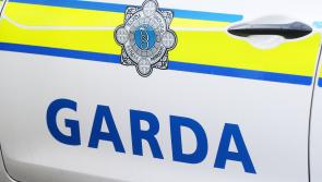 €6 million cocaine seizure on Wexford farm dismantles international drug trafficking route