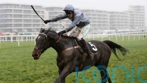 Santini could be back on Cheltenham Gold Cup trail after big performance 