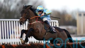 Meath handler McConnell looks forward to Mahler Mission run at Cheltenham
