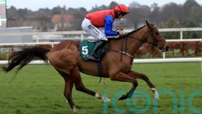 Beaten rival 'wary' of taking on ‘phenomenal’ Facile Vega again at Cheltenham 
