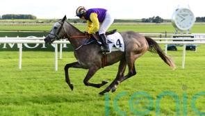 Mullins-trained horse to miss Dubai with another Gold Cup bid on radar