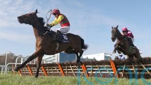 Max Flamingo sets sights on Irish Grand National after Thurles success