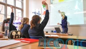 Registration fees for Ukrainian teachers to be reviewed after TD raises concerns 