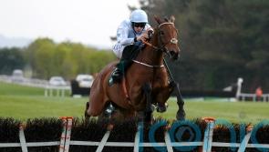 What a win! Honeysuckle and Rachael Blackmore rule supreme again at Punchestown
