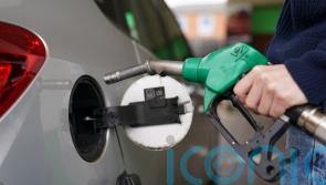 Hospitals and households will be first priority if fuel rationed, says minister