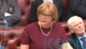 NI Protocol Bill expected to reach House of Lords before autumn, Baroness says