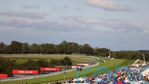 Irish trainer eyes Stewards' Cup with French horse