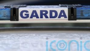 Woman aged in her 20s dies in Co Waterford crash