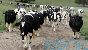 Minister hopes to see targets to cut emissions published this month