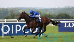 Appleby waiting on Adayar prep options before big autumn Champion Stakes targets
