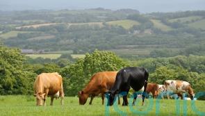 Widespread anger among farming communities over ‘unrealistic’ emissions target