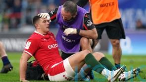 'We don't stand still' on issues of player welfare, World Rugby vows