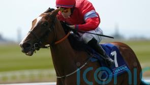 Wesley Joyce making ‘significant progress’ following Galway fall