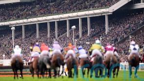 'Attractive and enjoyable experience' - Cheltenham to cap Festival attendances in 2023