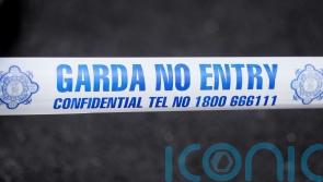 Garda witness appeal after body of man found in Royal Canal
