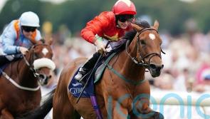 Flying Five bid at the Curragh a possibility for Highfield Princess