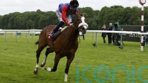 Queen’s horse King’s Lynn will not run at the Curragh