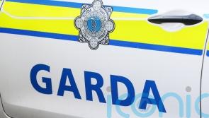 Majority of murders in Ireland last year had domestic abuse motivation – report