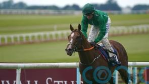 HMS Seahorse sets sail for Curragh riches later today