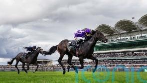 Blackbeard in Breeders’ Cup frame after Middle Park glory