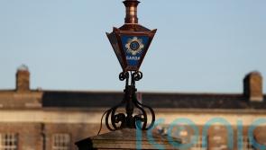 Skeletal remains of a child found in Co Cork