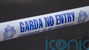 Bodies of woman and baby boy found at Dublin house