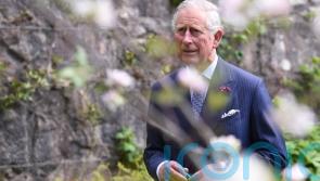 King’s ‘immense sadness’ at ‘appallingly tragic’ Creeslough disaster