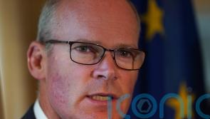 All efforts needed to avoid fresh Stormont elections – Coveney