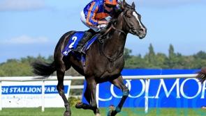 Big race success for Irish racing  in America and Britain as Auguste Rodin wins again 