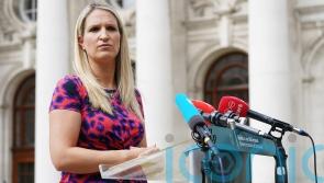 For too long we have accepted ‘stark’ domestic violence figures – McEntee