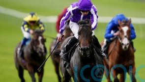 Aidan O’Brien full of praise for Breeders’ Cup-bound Blackbeard