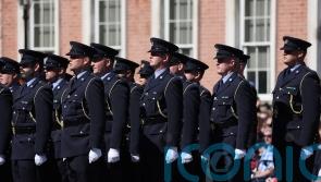 Justice Minister urged to increase garda numbers after 'lamping' incident in Tipperary 
