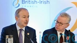 Taoiseach praises Rishi Sunak’s ‘pragmatic’ approach to NI Protocol dispute