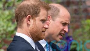 Prince Harry claims brother encouraged him to dress as Nazi for 2005 fancy dress party