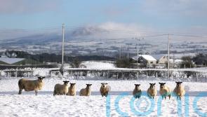 Icy conditions expected to continue over coming days