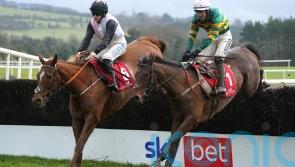 All roads lead to Cheltenham for Colm Murphy’s star mare Impervious