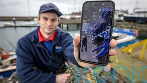 &nbsp;Fisherman beat 'one in two million chance' to catch rare blue lobster in NI lough