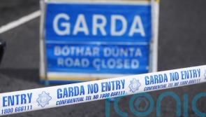 Driver dies in collision between truck and car