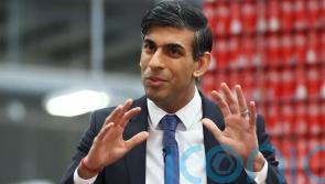 Stormont brake ‘not really a brake’, says DUP MP critical of Sunak’s deal