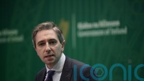 Irish Government will not forget duty to Troubles victims – Justice Minister