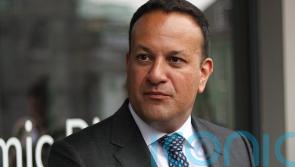 ‘Bespoke energy scheme’ could be introduced to help Tara Mines, says Varadkar