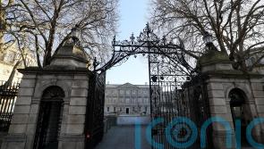 TD expresses concern about aggression toward politicians outside Oireachtas