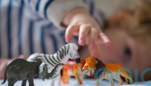 Judge expresses concern over Ireland’s provision for children in state care