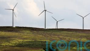 ‘Immediate’ action needed to meet carbon budget targets, council warns